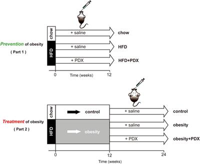 Polydextrose Alleviates Adipose Tissue Inflammation and Modulates the Gut Microbiota in High-Fat Diet-Fed Mice